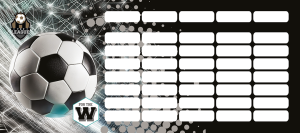 LIZZY CARD Top League FTW програма