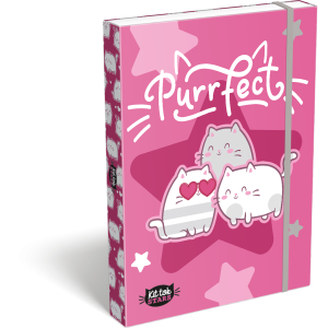 LIZZY CARD KitTok PURRFECT кутия с ластик А4
