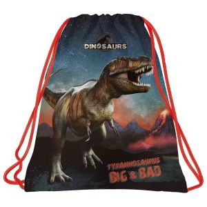 DINOSAUR 17 спортна торба